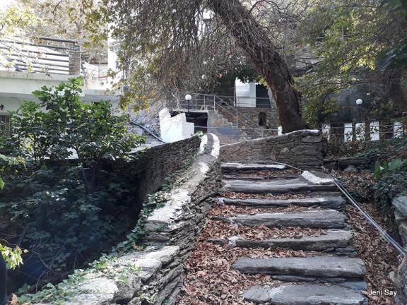 Menites, Andros