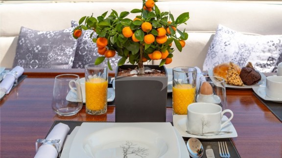 Motor Yacht Divine on board details