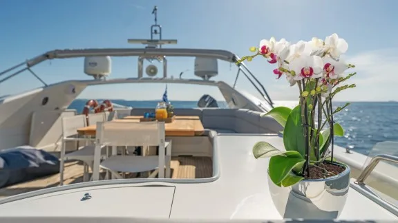 Image of ALFA yacht #35