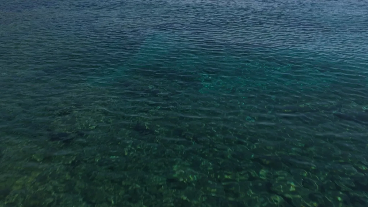 Yacht Video