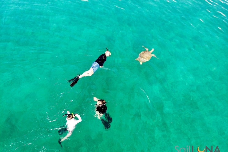 LUNA Swimming