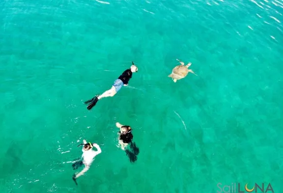LUNA Swimming