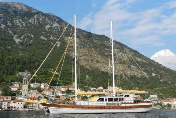 WHITE SWAN