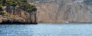 Paxos