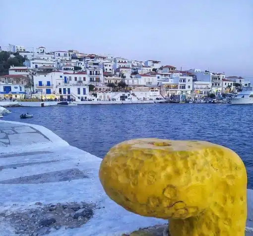 Batsi Andros Port