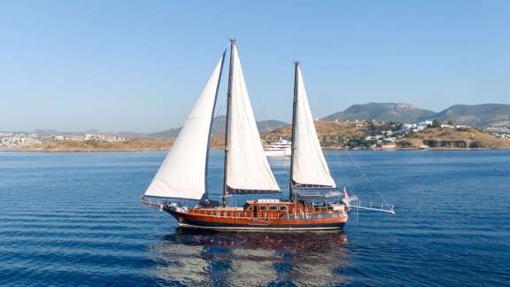 Image of CAPRICORN 1 yacht #12