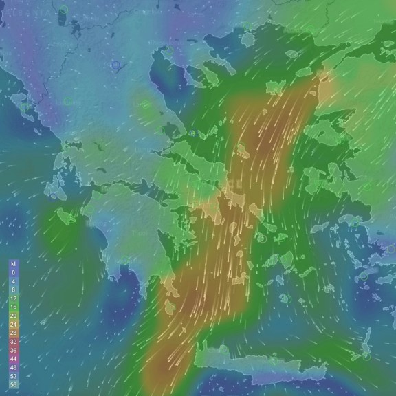 screenshot of wind stregths shown on windy weather app of the meltemi winds blowing through the Aegean Sea, north to south, affecting the cyclades islands