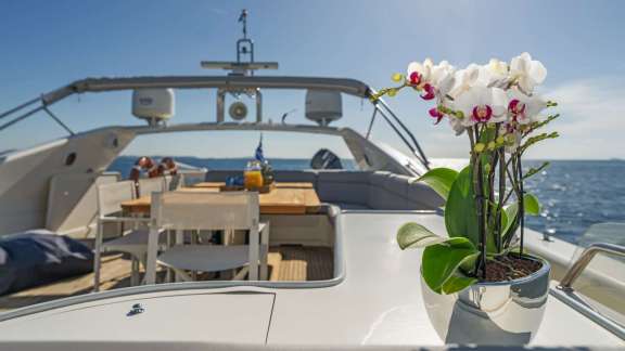 Image of ALFA yacht #13