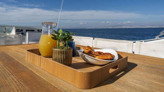 Image of ALFA yacht #15