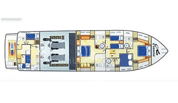 layout