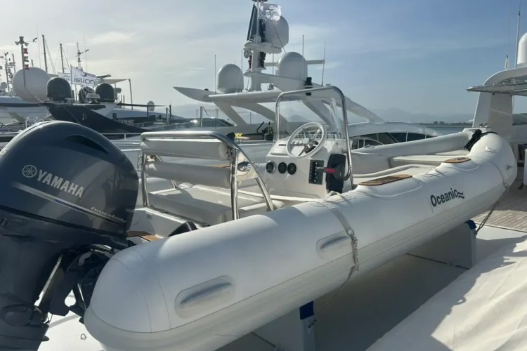 Large rib plus smaller tender
