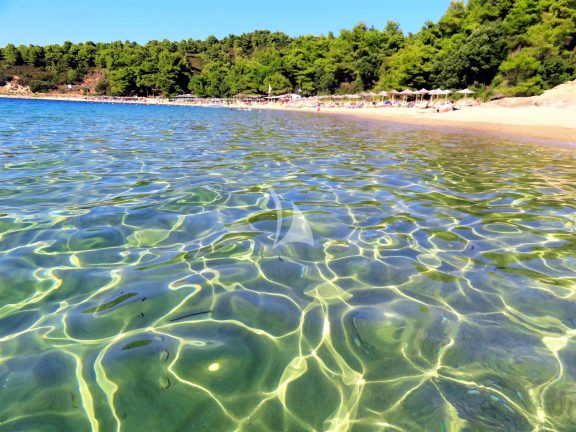 One of the many fantastic beaches of Skiathos, Sporades