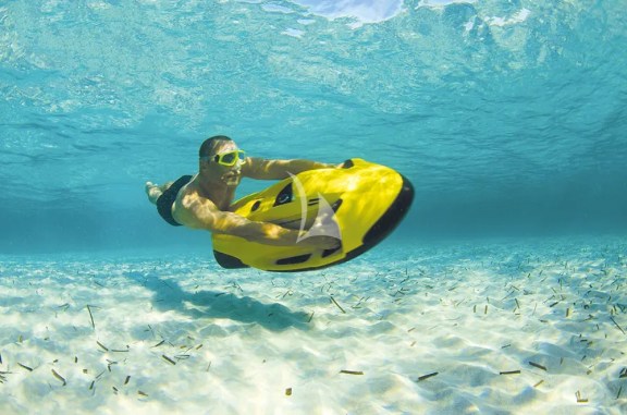 Sea Bob