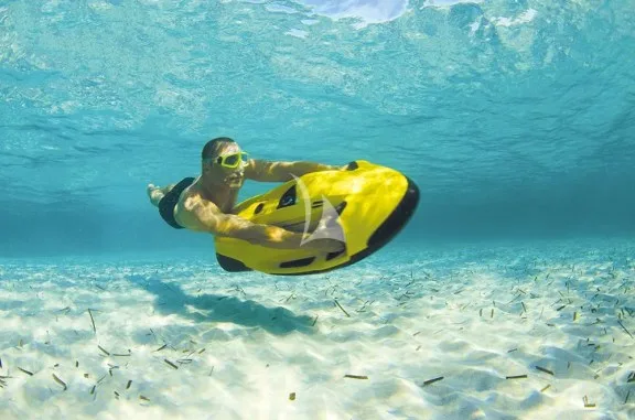 Sea Bob