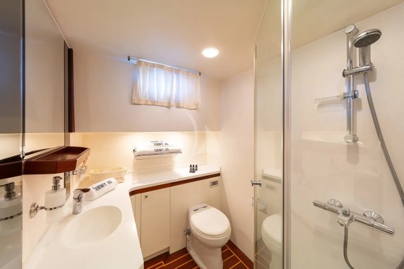 VIP Double Cabin Bathroom