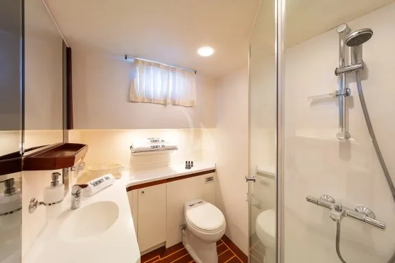VIP Double Cabin Bathroom
