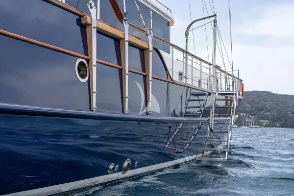Swim Ladder