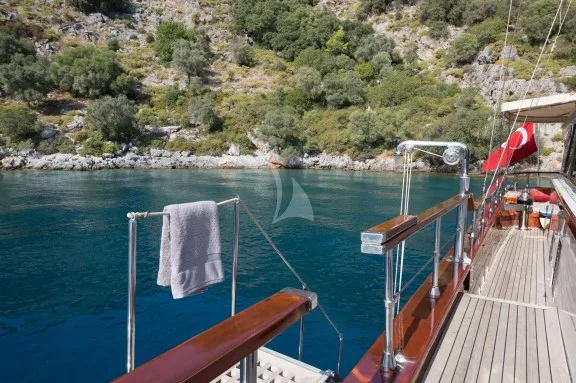 Swim Platform