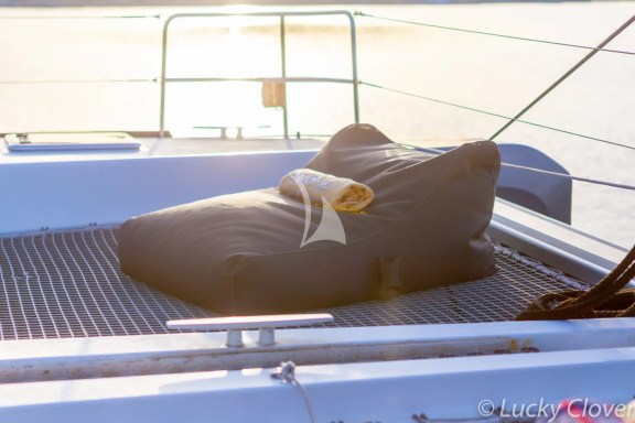 Image of Lucky Clover yacht #17