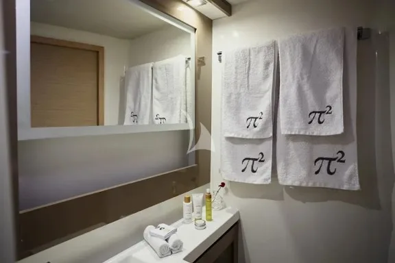 Guest bathroom