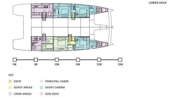 BELLDIA Layout