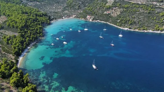 Aerial view of a pine-fringed anchorage bay with sailboats moored in calm, clear water