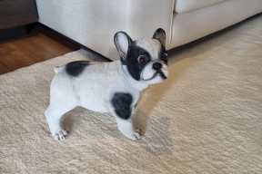 Real Yacht Image from Review