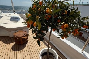 Real Yacht Image from Review