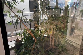 Real Yacht Image from Review