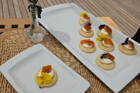 Real Yacht Image from Review