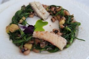 Real Yacht Image from Review