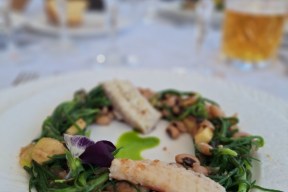 Real Yacht Image from Review