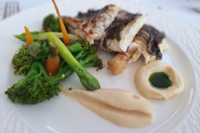 Real Yacht Image from Review