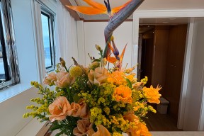 Real Yacht Image from Review