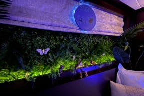 Real Yacht Image from Review