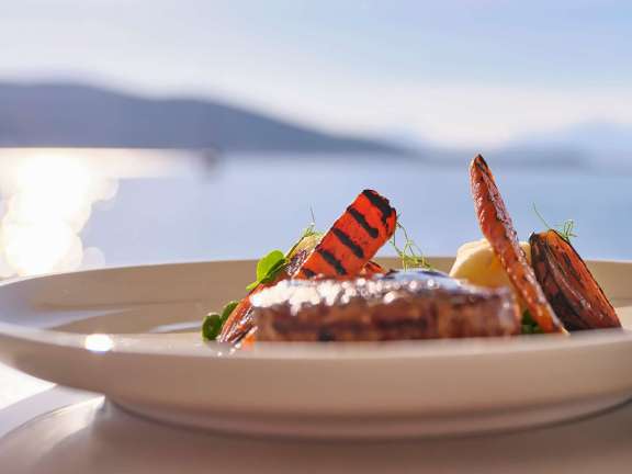 Image of NOVA yacht #17