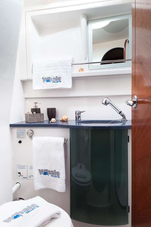 Image of WHALE yacht #11