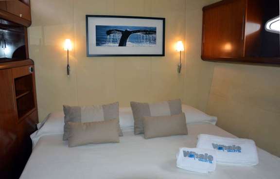 Image of WHALE yacht #6