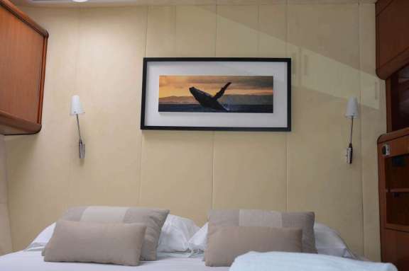 Image of WHALE yacht #7