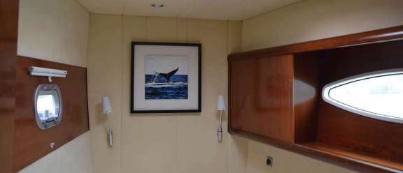 Image of WHALE yacht #8