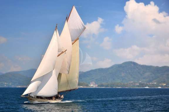 Image of Sunshine yacht #8