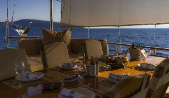 Image of ECE ARINA yacht #13