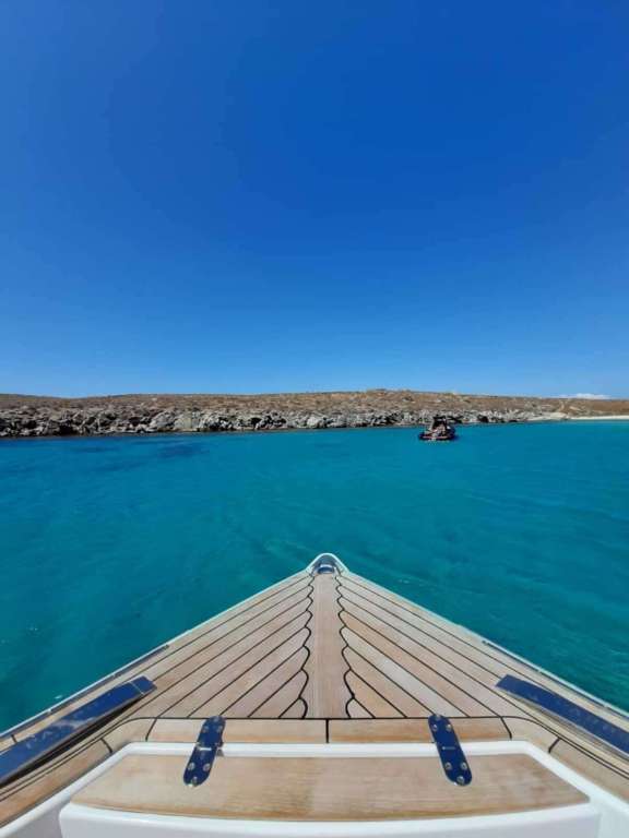 Image of BABY D yacht #12