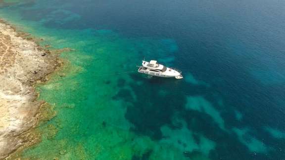 Image of HARRY LOU yacht #11