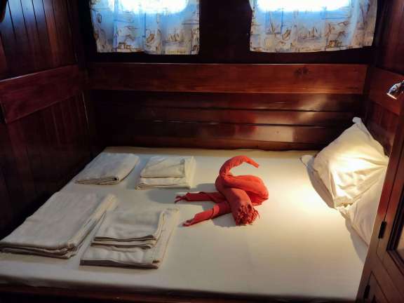 Image of Stella Queen yacht #6