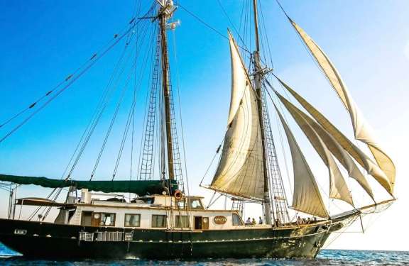 Image of ARKTOS yacht #3