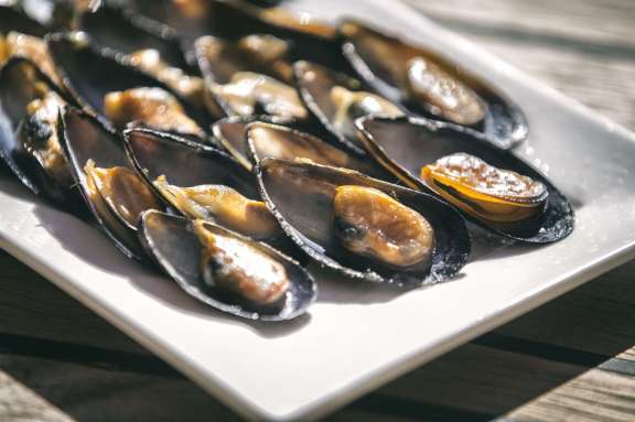 Image of ENTRE CIELOS yacht #19