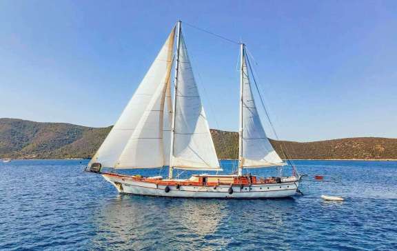 Image of BELUGA yacht #10