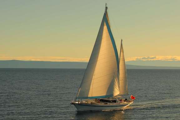 Image of FREE WINGS yacht #19