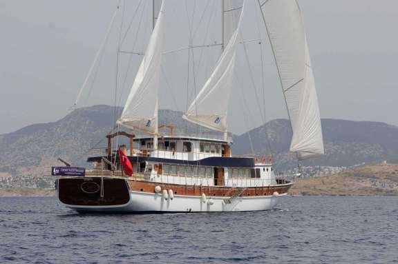 Image of ELARA 1 yacht #13